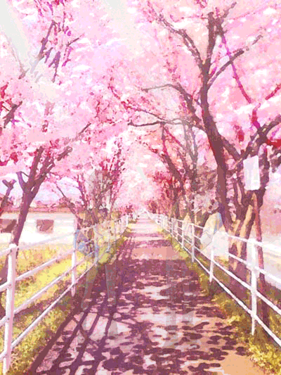 Sakura いきものがかり Tatsuya Spirit